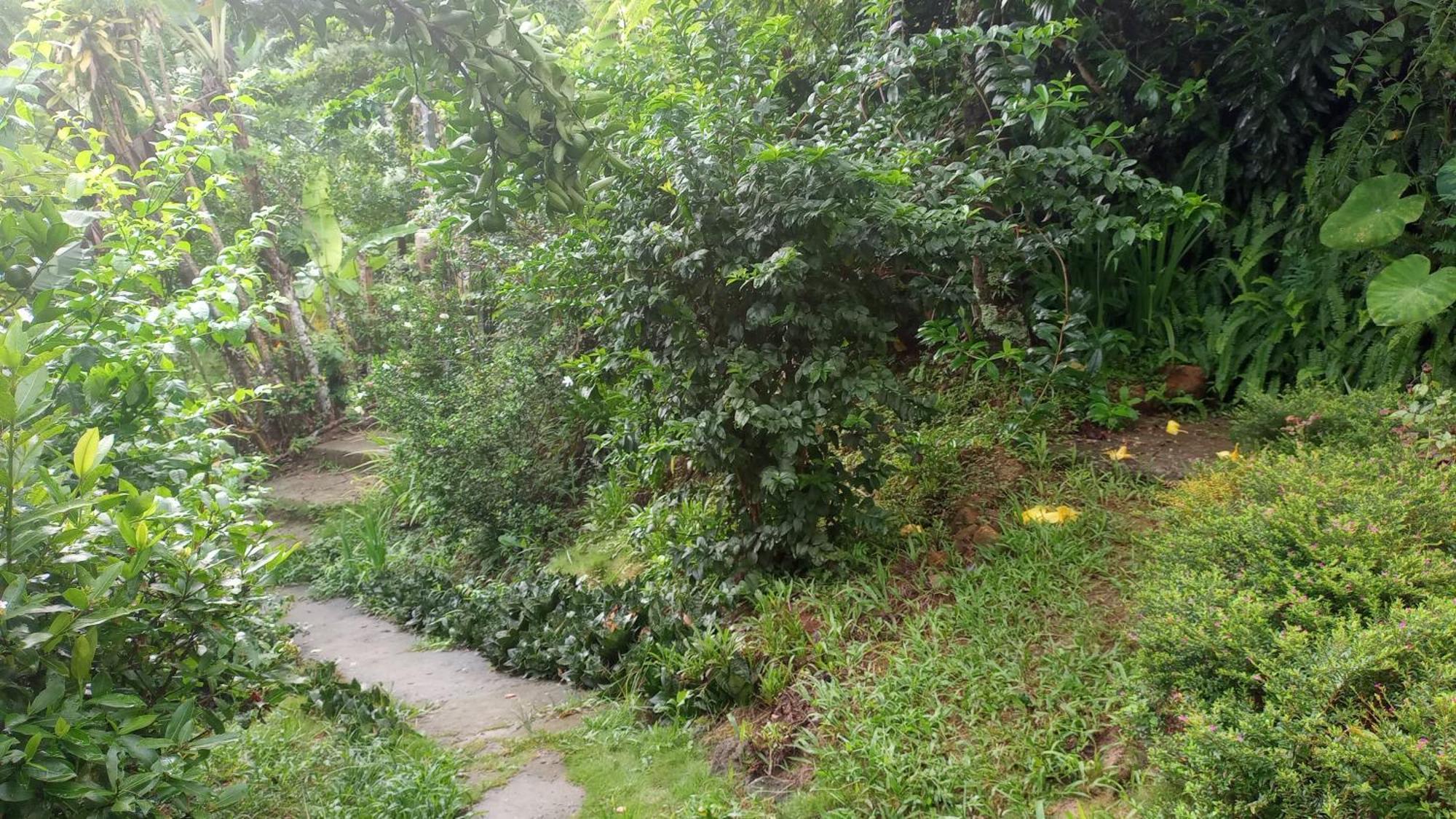 Ilha Grande - Casa Praia Da Longa Kültér fotó